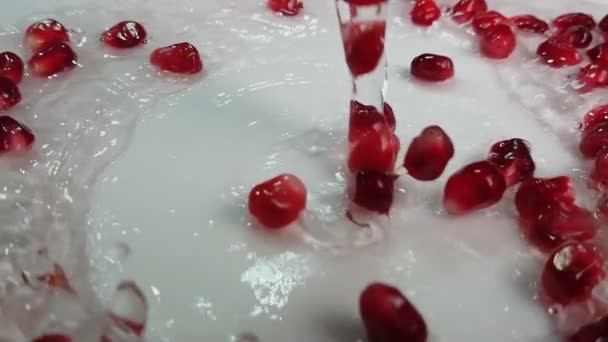 Juicy grains of pomegranate are falling with water flow on the white background — Stock Video