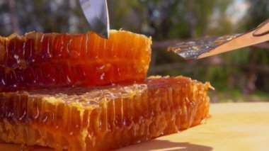 Bıçak, güneşli bir yaz gününde bal peteklerinin bir kısmını spatulaya keser.