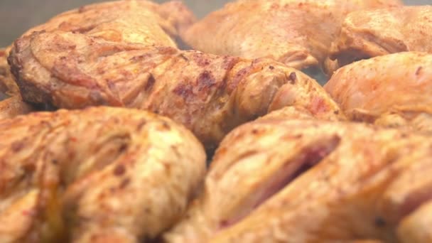 Stukken vlees besprenkeld met specerijen worden gebakken op de grill — Stockvideo