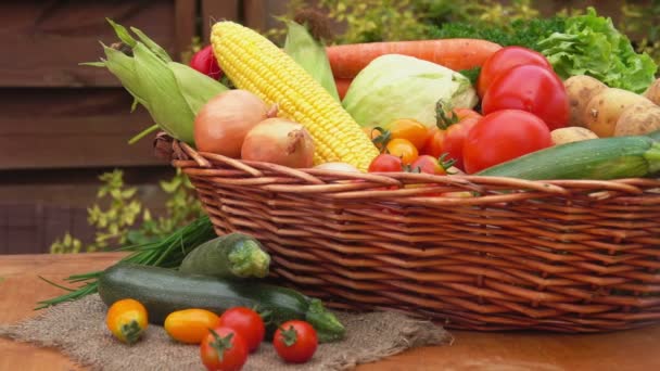 Cesta de mimbre llena de verduras de temporada recién recogidas — Vídeo de stock