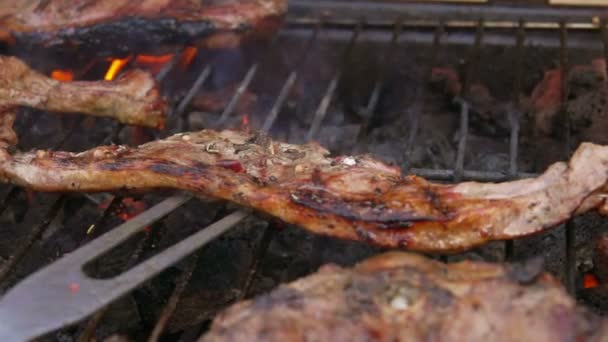 Pedaços de bife de carne estão fritando na ganância grelha com chamas — Vídeo de Stock