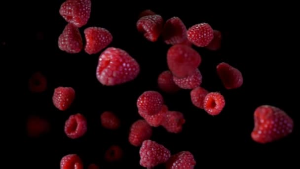 Large juicy appetizing raspberries flying up on the black background — Stock Video