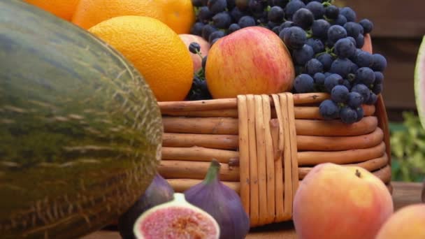 Panorama dojrzałych owoców i jagód — Wideo stockowe