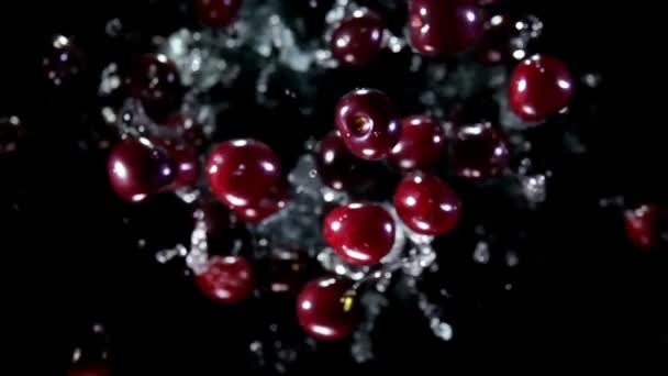 Aptitretare saftiga röda körsbär studsar upp med stänk vatten — Stockvideo