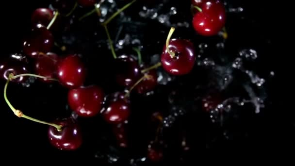 Сочные красные вишни скачут вверх с брызгами воды на черном фоне — стоковое видео