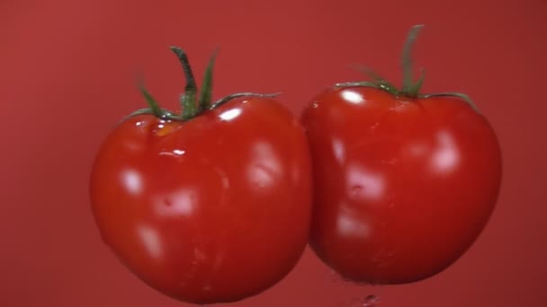 Zwei Tomaten fliegen und rotieren in Zeitlupe auf dem roten Hintergrund — Stockvideo