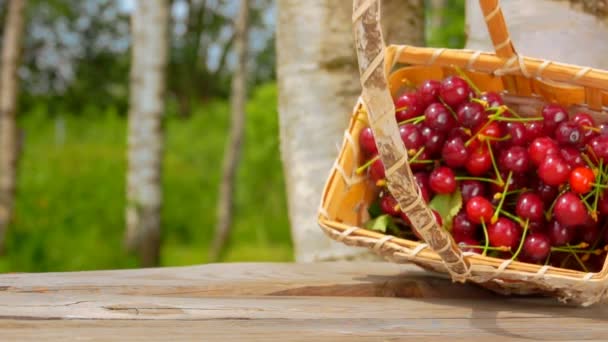 Un mucchio di succose ciliegie rosse che cadono dal cestino sul tavolo di legno — Video Stock