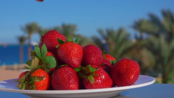 Kvinnlig hand tar en stor saftig jordgubbe från en vit tallrik — Stockvideo