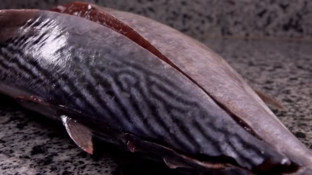 Geschältes Thunfischfilet fällt auf einen grauen Steintisch — Stockvideo