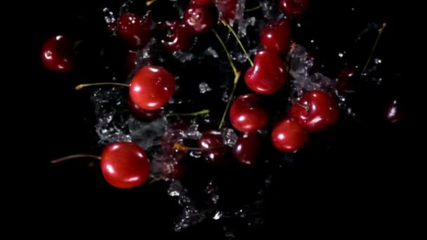 Deliciosas y jugosas cerezas rojas rebotan con salpicaduras de agua — Vídeos de Stock
