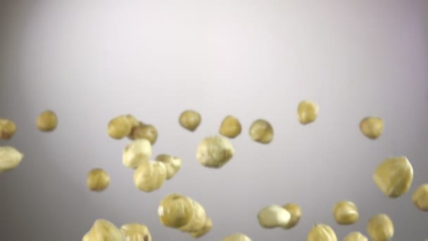 Close-up van hazelnoten vliegen omhoog en vallen op een witte achtergrond — Stockvideo