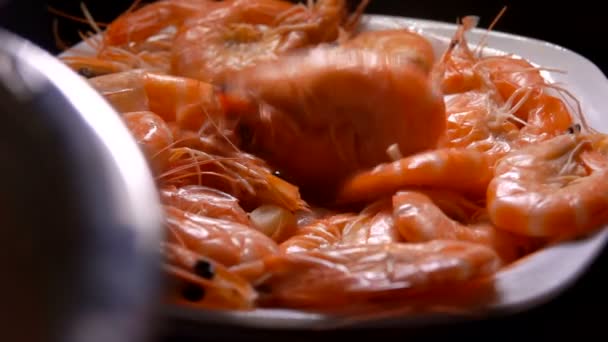 Primer plano de grandes y deliciosos camarones preparados que caen en el plato blanco — Vídeo de stock