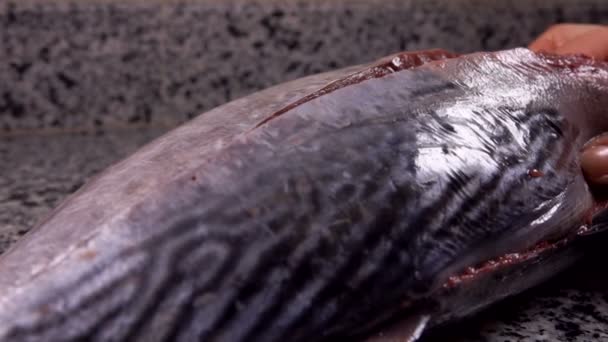Kockar öppnar en rå tonfisk fisk på filén — Stockvideo