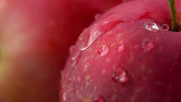 Super close-up of wet ripe red apple surface with water drop flowing down — Stock Video