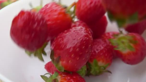 Close-up van sappige aardbeien die in de witte kom vallen — Stockvideo