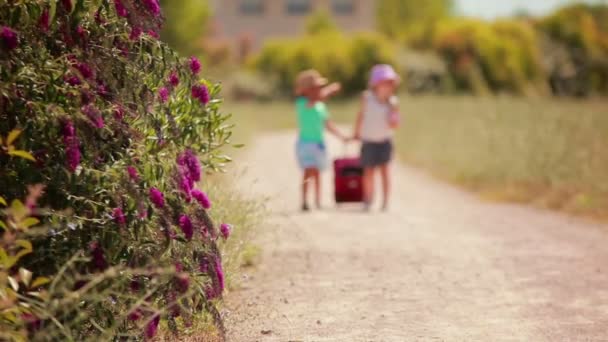 Ευτυχισμένα παιδιά με καπέλα περπατούν μαζί στο δρόμο με μια ροζ βαλίτσα. — Αρχείο Βίντεο