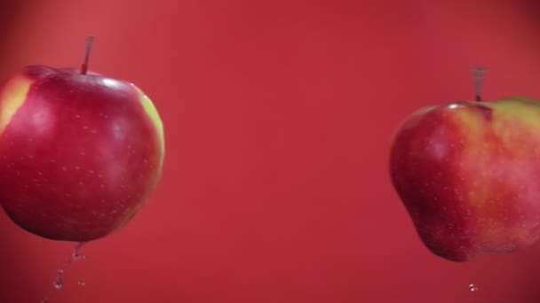 Kırmızı arka planda iki büyük olgun kırmızı elma çarpışıyor. — Stok video
