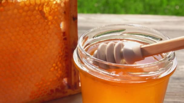 Miel trempette recueille le miel d'un bocal en verre — Video