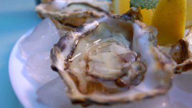 Taze, lezzetli, limonlu istiridye ve beyaz tabakta nane şekeri yakın plan.