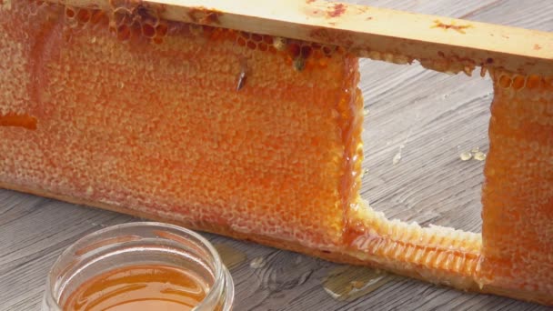 Gros plan de nids d'abeilles frais coupés avec un couteau — Video