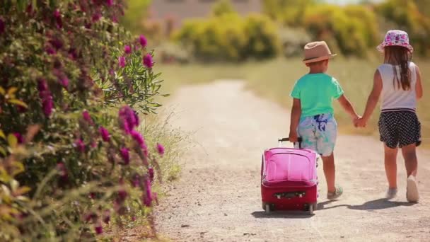 Cute dzieci w kapeluszach idą razem wzdłuż drogi z różową walizką — Wideo stockowe