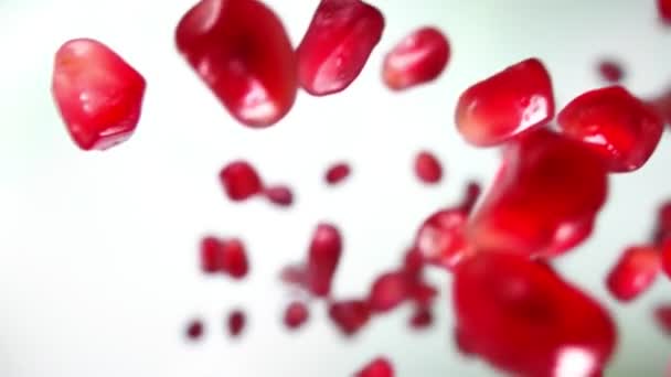 Red grains of ripe pomegranate are falling diagonally on the white background — Stock Video