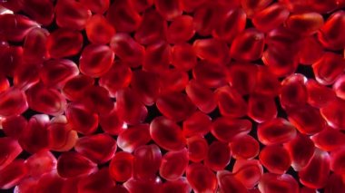 Siyah arka planda duran nar tanelerinin arasından su akıyor.