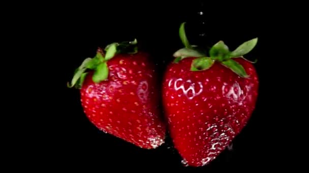 Röda jordgubbar flyger till varandra och kolliderar på den svarta bakgrunden — Stockvideo