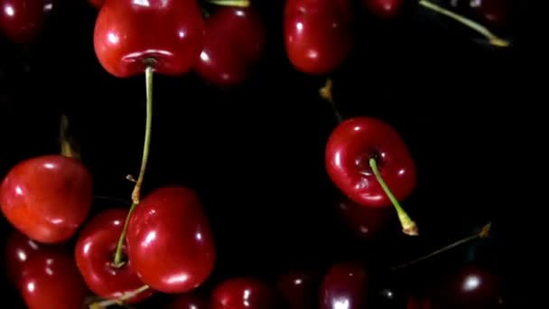 Крупним планом червоні вишні, що літають і обертаються на чорному тлі — стокове відео
