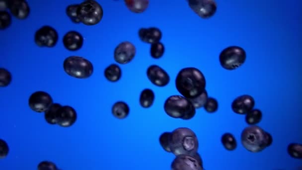 Große köstliche Blaubeeren fliegen diagonal auf dem blauen Hintergrund — Stockvideo