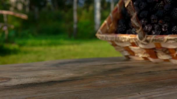 Basket with ripe juicy blackberries falls on a wooden table — Stock Footage Basket with ripe juicy blackberries falls on a wooden table Stock Footage