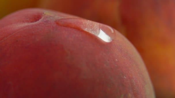 Nahaufnahme eines klaren Wassertropfens, der die Oberfläche eines reifen saftigen Pfirsichs hinunterfließt — Stockvideo