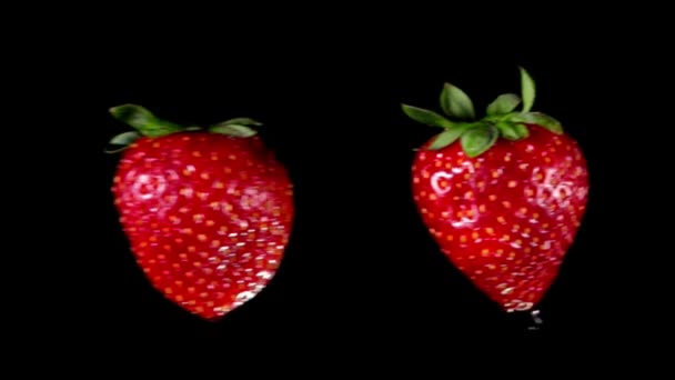Saftige Erdbeeren fliegen aufeinander und kollidieren auf schwarzem Hintergrund — Stockvideo