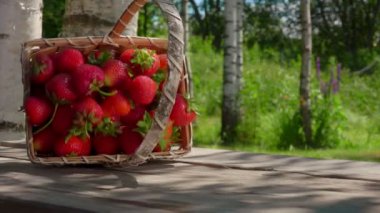 Sepet düşüyor ve büyük lezzetli çilekler ahşap masada zıplıyor.