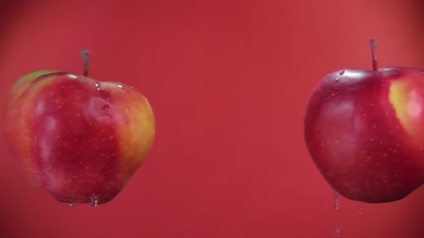 Két vörös alma repül egymás felé, összeütköznek a vörös háttéren. — Stock videók