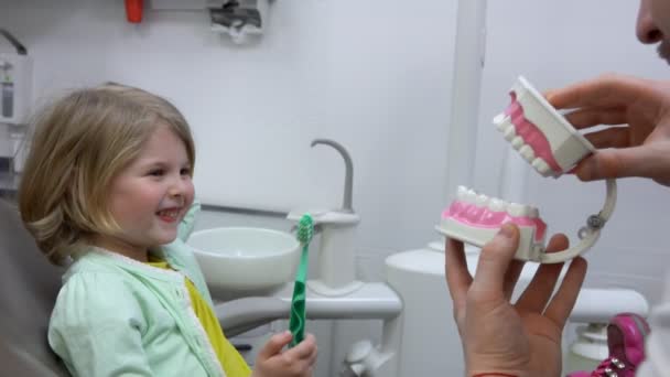 A fogorvos megmutat egy kislánynak egy állkapocs modellt, hogy elmagyarázza, hogyan kell fogat mosni. — Stock videók
