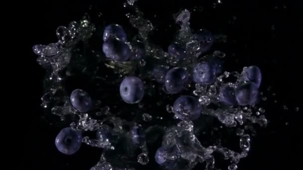Bleuets juteux volent avec les éclaboussures d'eau sur le fond noir — Video