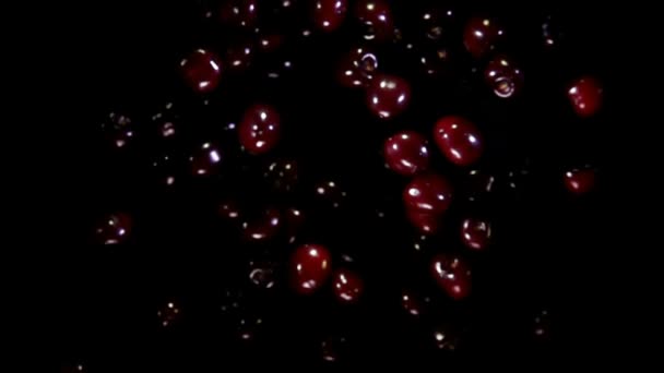 Wiśnie lecą w górę i obracają się z plamami wody na czarnym tle — Wideo stockowe