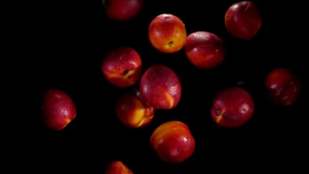 Les pêches fraîches mûres humides rebondissent sur le fond noir — Video