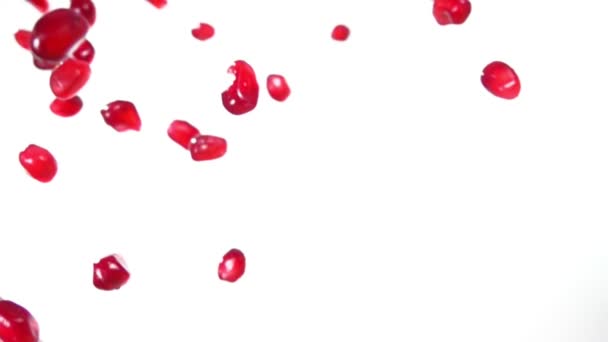 Ζουμερά σπόρια ροδιού πετούν διαγώνια στο λευκό φόντο — Αρχείο Βίντεο