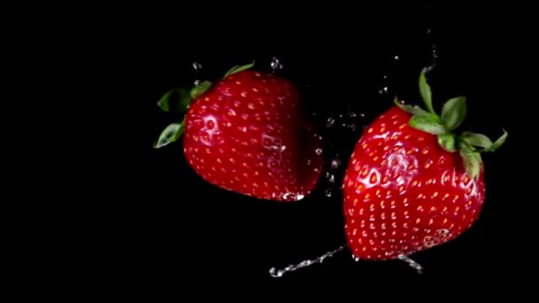 Großaufnahme großer Erdbeeren, die auf schwarzem Hintergrund aufeinander zufliegen — Stockvideo