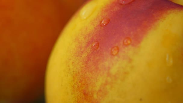 Klare Tropfen Wasser fließen die Oberfläche eines reifen saftigen Pfirsich — Stockvideo