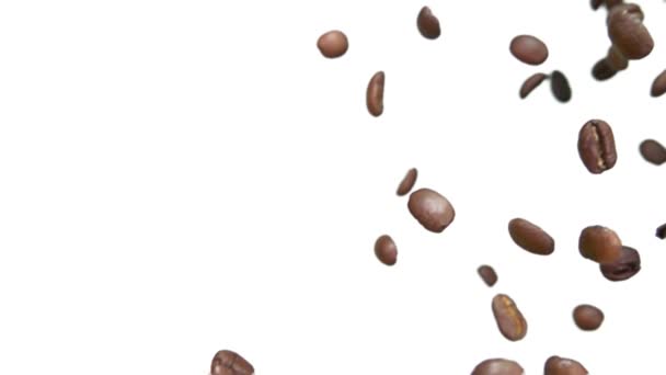 볶은 커피 열매는 대각선으로 흰색 배경 위를 날고 있다 — 비디오