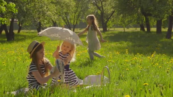 줄무늬 드레스를 입은 아름다운 소녀들이 정원 잔디에서 꽃을 따고 있다 — 비디오