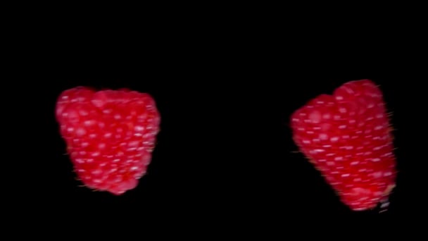 Nahaufnahme von zwei großen saftigen Himbeeren, die mit Wasserspritzern kollidieren — Stockvideo