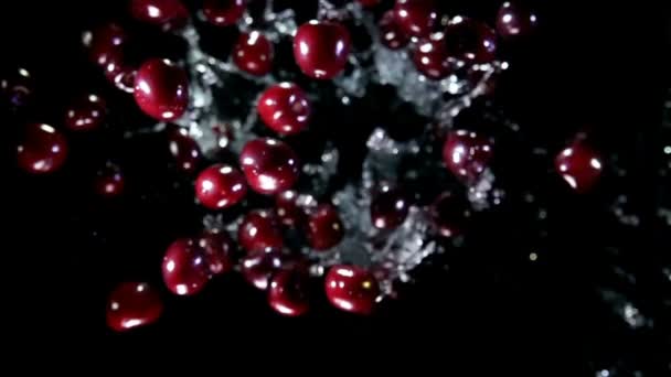 검은 배경에 물을 튀기는 맛있는 열매들이 날아다니고 있다 — 비디오