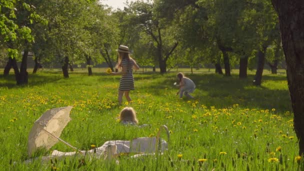 Niñas con vestidos a rayas están caminando por el césped y recogiendo flores — Vídeos de Stock