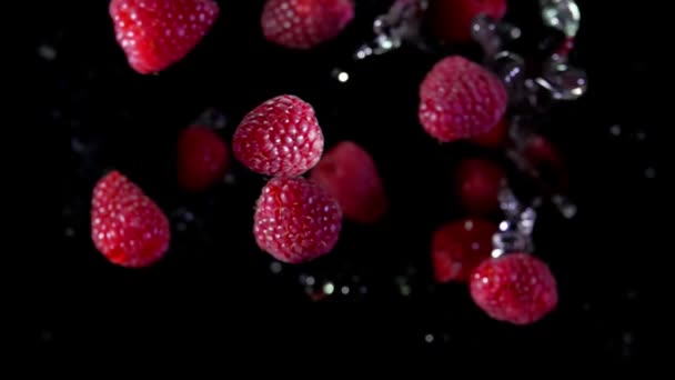 Zbliżenie czerwonych dojrzałych malin odbija się i obraca z rozpryskami wody — Wideo stockowe