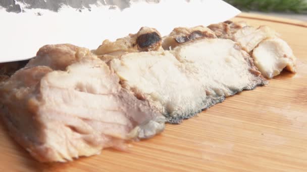 Close-up of delicious grilled white fish fillet cut with a knife on slices — Stok Video