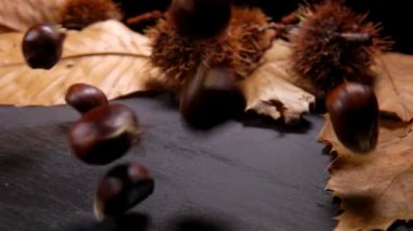 Kahverengi kestaneler kestane yapraklarının ve kabukların üzerine düşüyor.